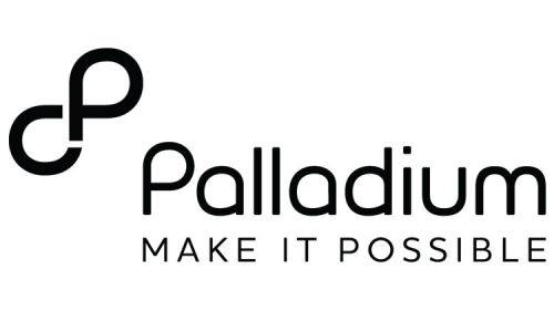 Palladium Group